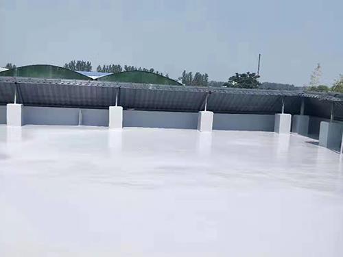 山东聚脲防水施工如何应对省内复杂建筑工况与气候挑战？